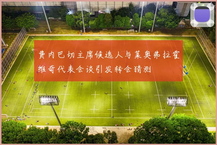 费内巴切主席候选人与莱奥弗拉霍维奇代表会谈引发转会猜测
